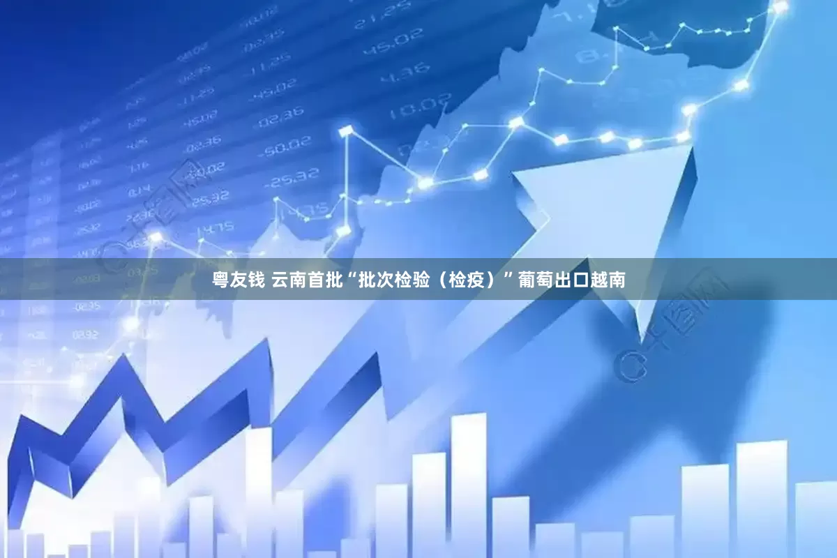 粤友钱 云南首批“批次检验（检疫）”葡萄出口越南