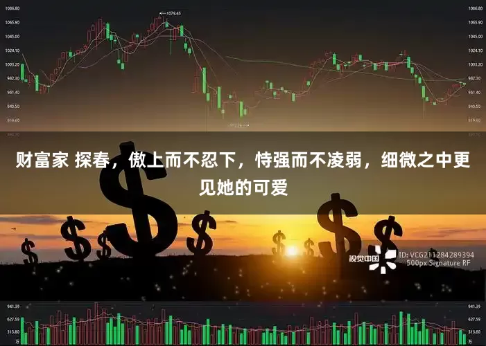 财富家 探春，傲上而不忍下，恃强而不凌弱，细微之中更见她的可爱