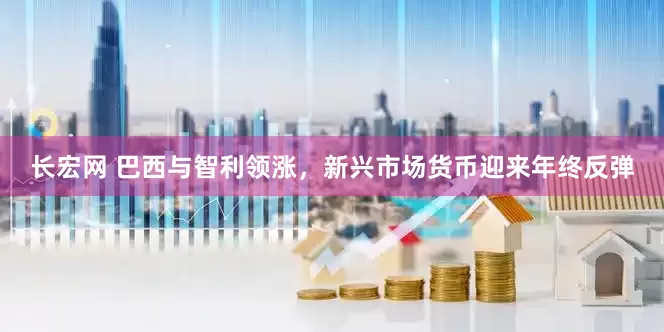 长宏网 巴西与智利领涨，新兴市场货币迎来年终反弹