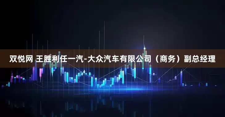 双悦网 王胜利任一汽-大众汽车有限公司（商务）副总经理